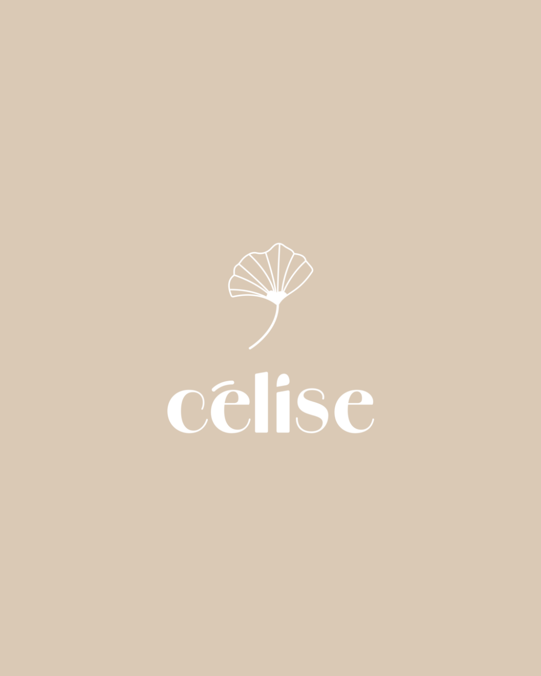 lou-menard-creation-identite-visuelle-celise-bijoux-creatrice-normandie-granville-graphiste-logo-agence-communication