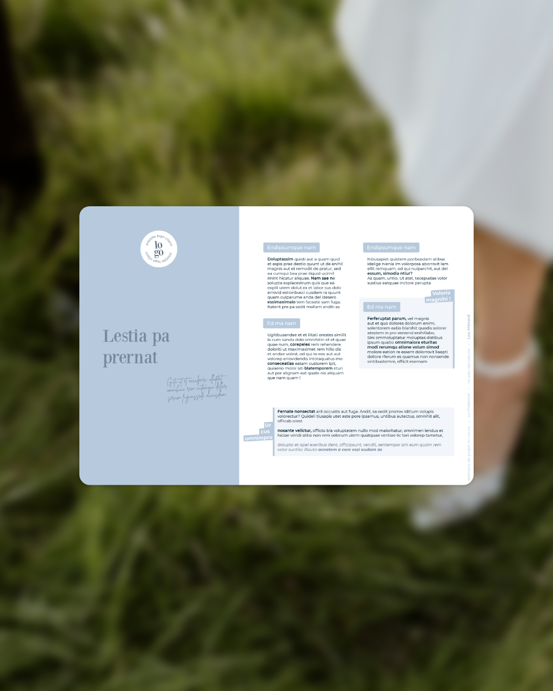 lou-menard-graphiste-granville-normandie-caen-mise-en-page-documents-professionnels