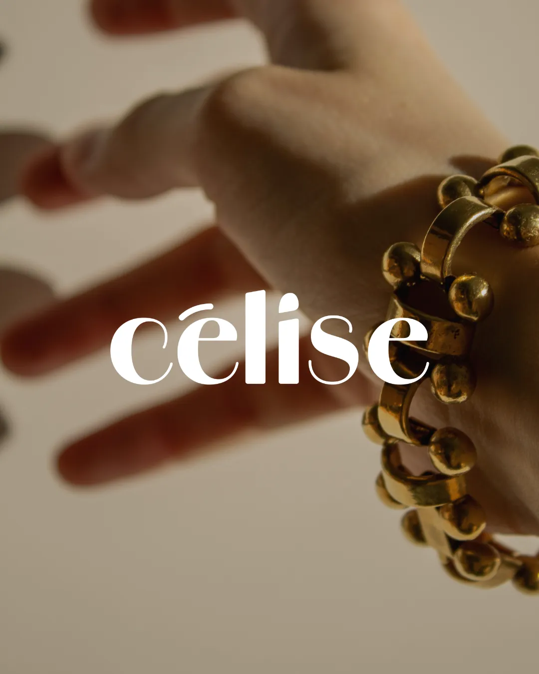 creation-graphique-identite-visuelle-logo-celise-graphiste-granville