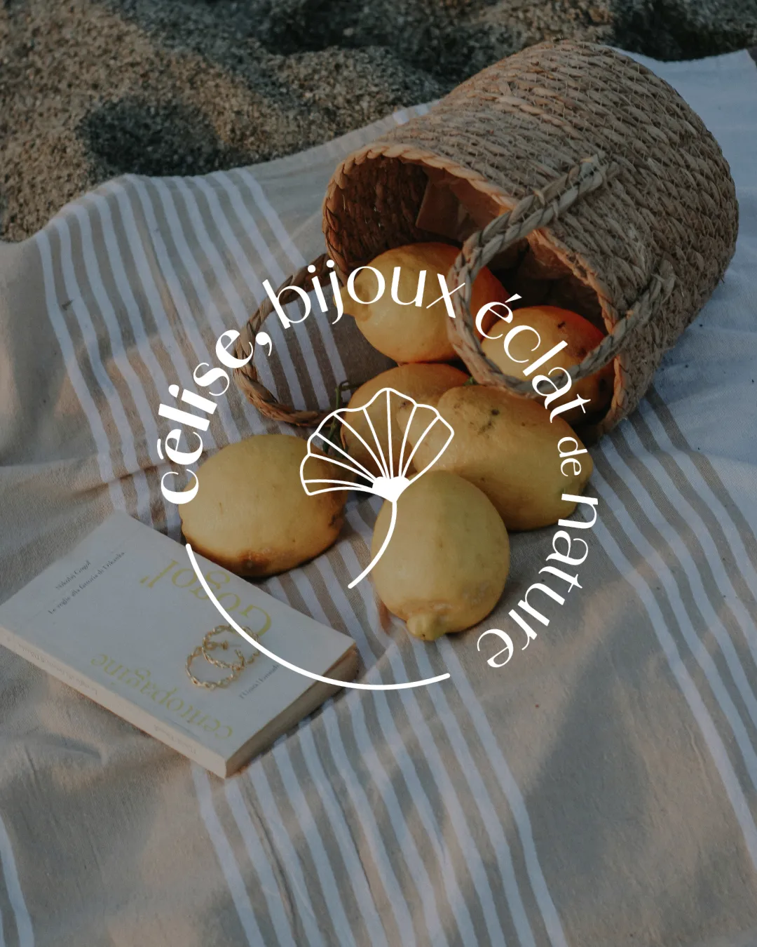 creation-graphique-identite-visuelle-logo-celise-graphiste-normandie-freelance