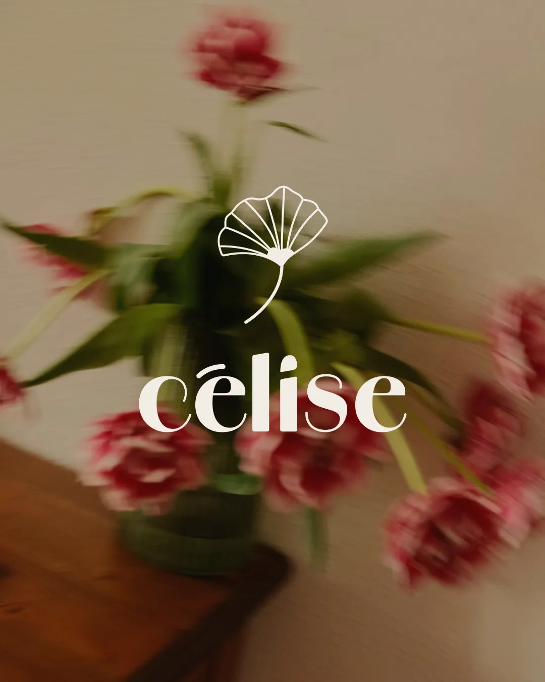 creation-graphique-identite-visuelle-logo-celise-graphiste-normandie