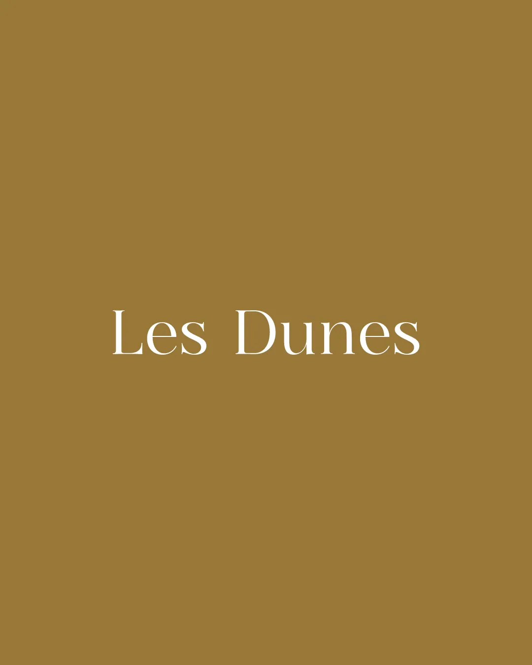 creation-logo-identite-visuelle-illustration-minimaliste-les-dunes-caen-normandie-granville-freelance-presta